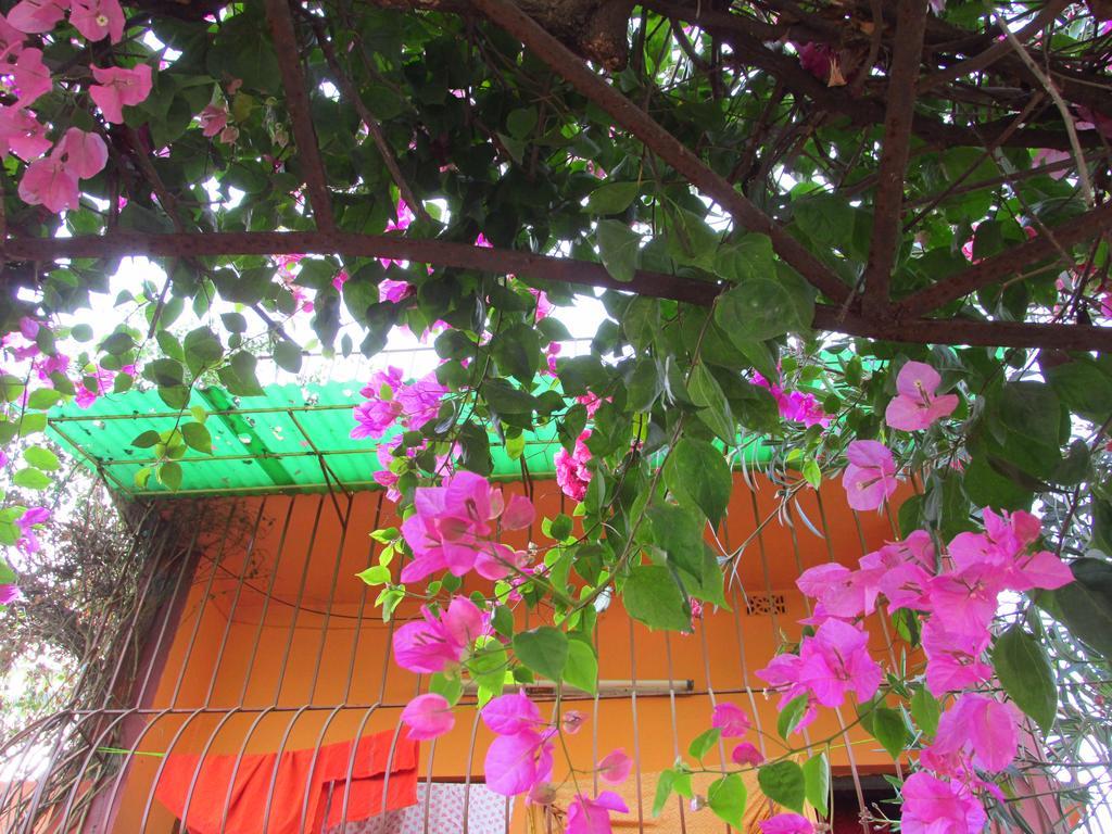 Pubali Homestay بولبور المظهر الخارجي الصورة